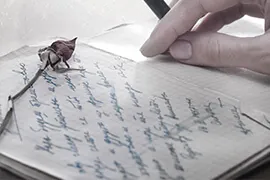 Gift a book wiht rose