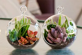 Jade incorporated home décor