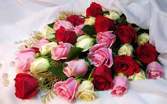 beautiful bunch of roses