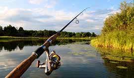 fishing rod