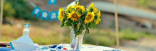 sunflowers