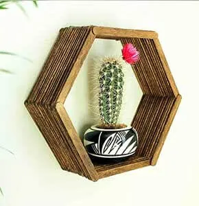 DIY Popsicle Hexagon Shelf