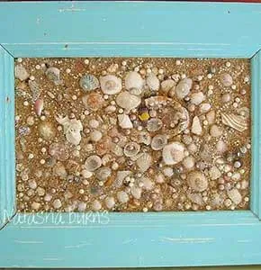 Seashell Wall Art