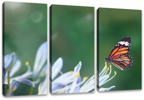  Single Photo Across Multiple Canvas