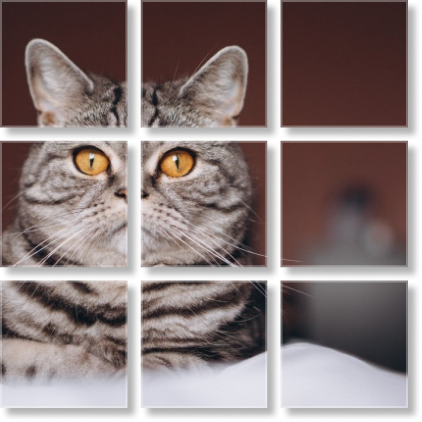 cat face on split canvas