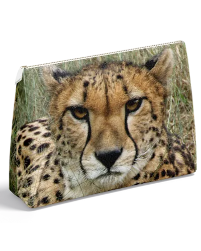 Printing Best Quality Tote Bags