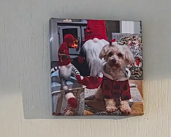 christmas dog canvas