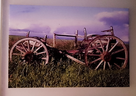 horse cart on canvas
