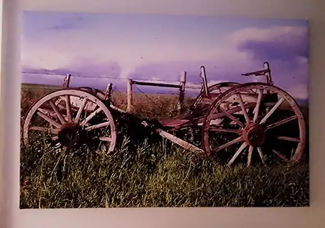 horse cart on canvas
