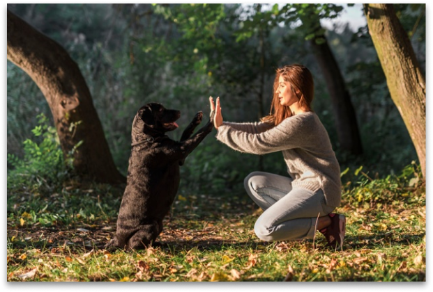 girl with dog on metal print