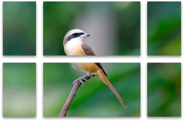 multi panel photo canvas