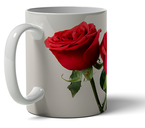 photo mug gift