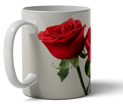 photo mug gift