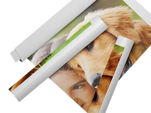 large canvas wall art