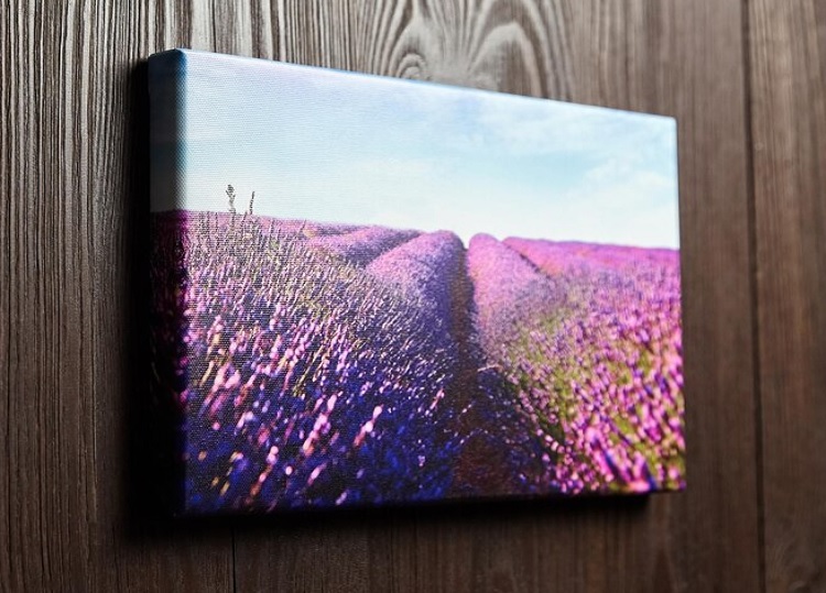 Canvas Mirrored Edge Wrap 10x10 - Horn Photo